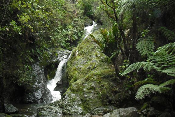 View of Pot Hole waterfall at Whitestar Station