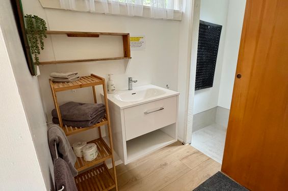 Bush Cabin 1 Bathroom